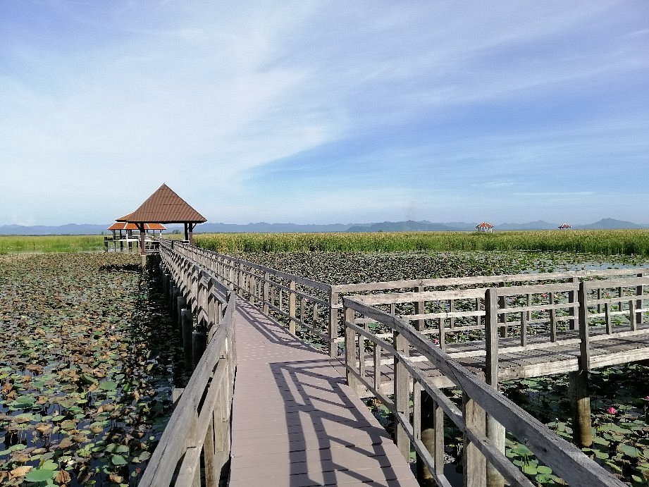 buengbua