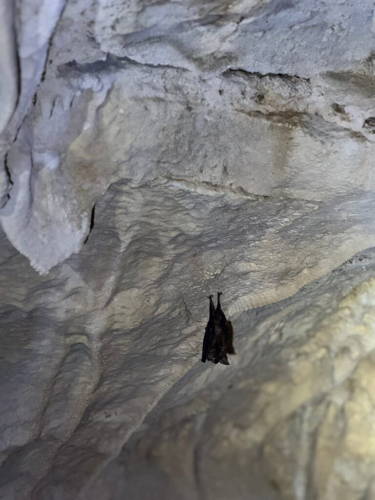 caves2