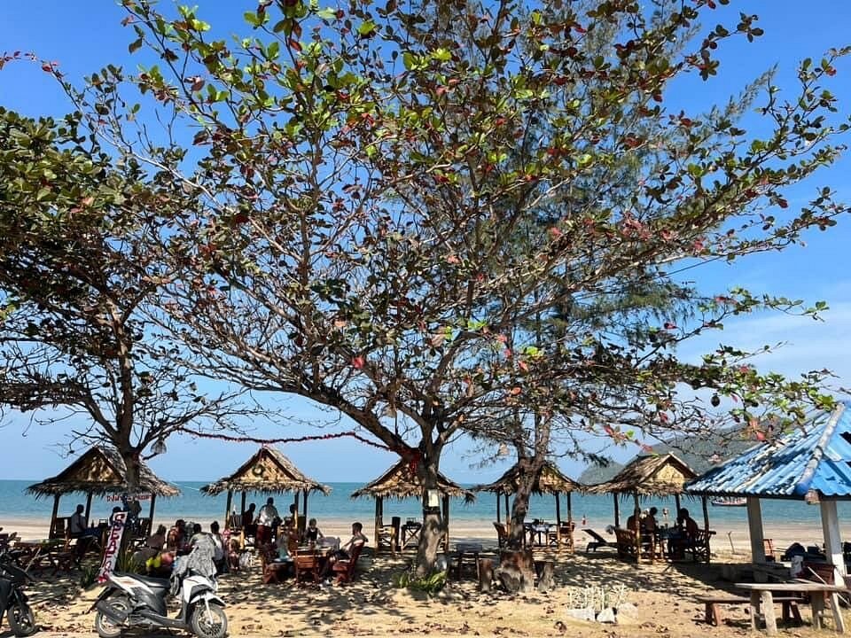 phen thai5