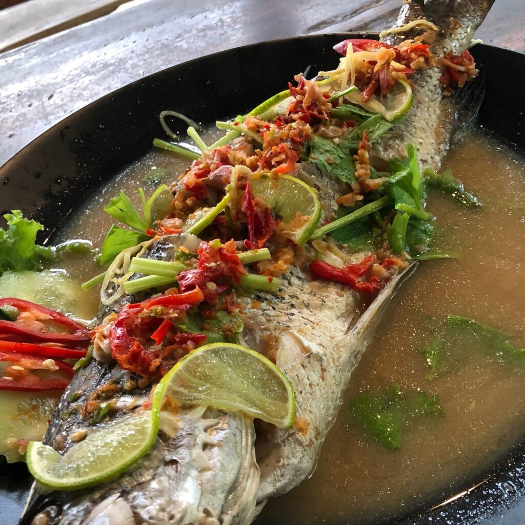 thai thai4