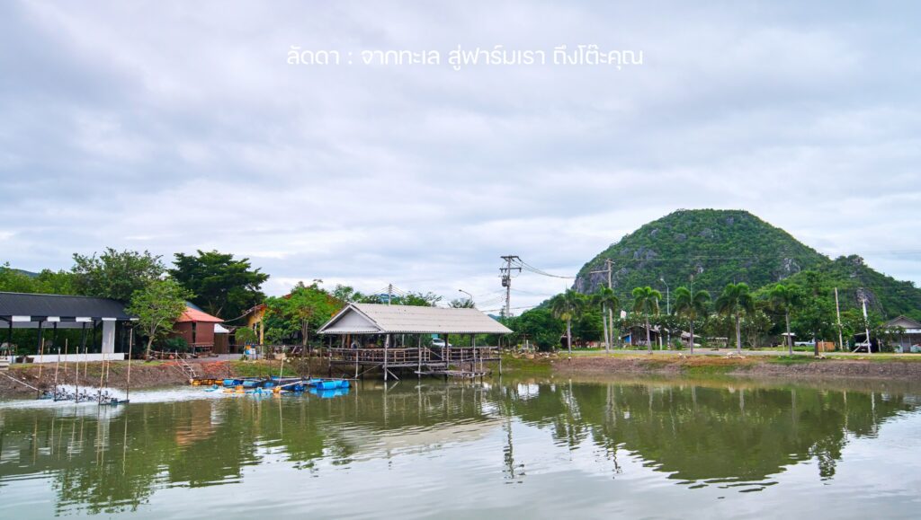 ครัวลัดดา