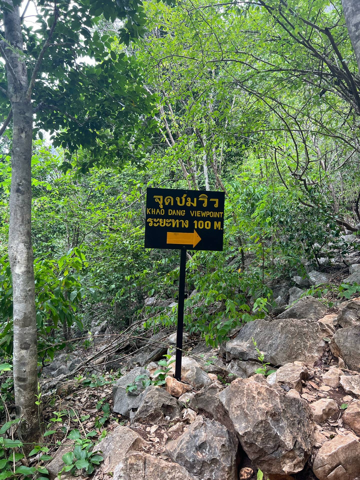จุดชมวิวเขาแดง4