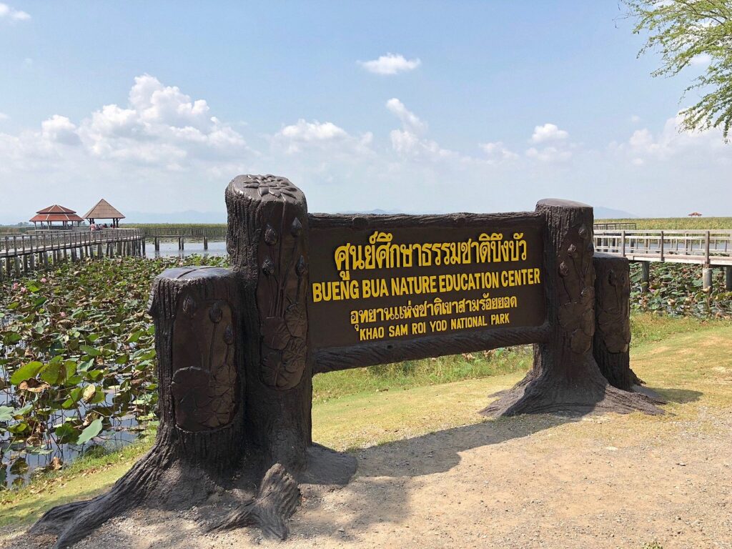 buengbua