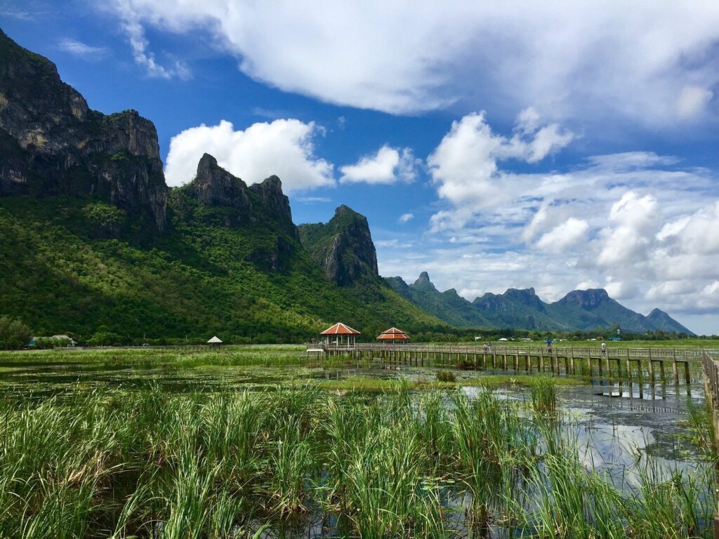 buengbua