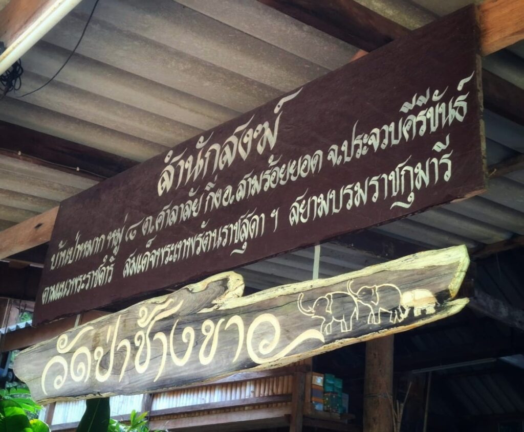 วัดป่าช้างขาว1