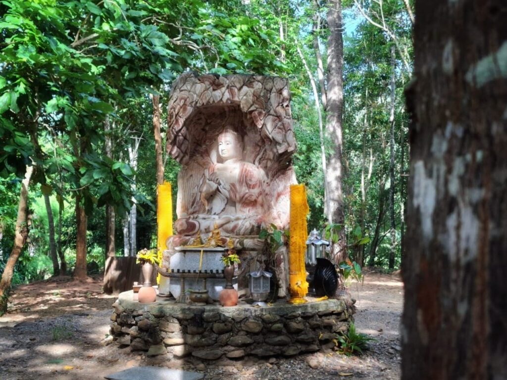 วัดป่าช้างขาว2
