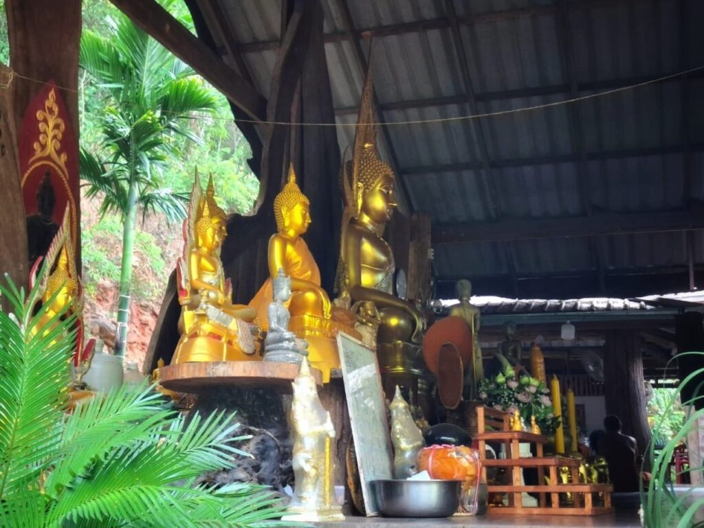วัดป่าช้างขาว4