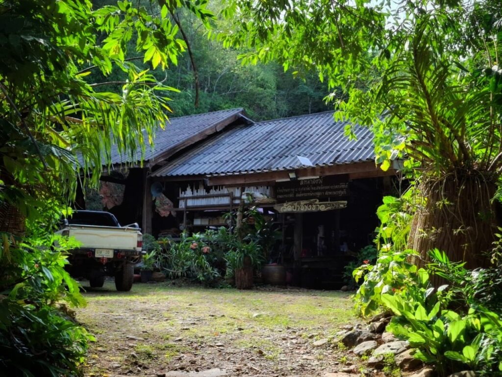 วัดป่าช้างขาว