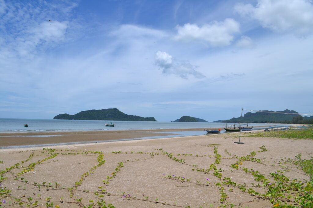 เกาะโครำ4
